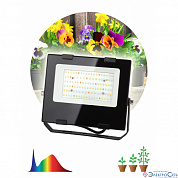 Прожектор LED  50W фито для цветения и плодоношения растений FITO-50W-Ra90-LED ЭРА