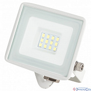 Прожектор LED  10W LPR-023-W-65K-010 6500K 800Lm белый IP65 ЭРА