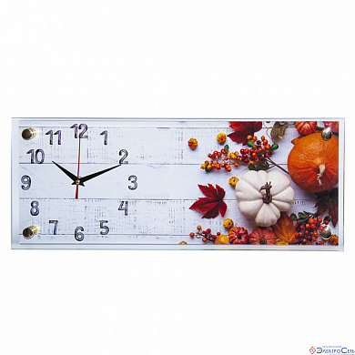 Часы настенные Овощной микс 5020-016 21 Век